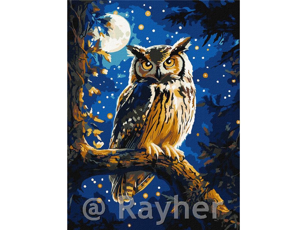 Slikanje po številkah, Night owl, s kovinskimi barvami
