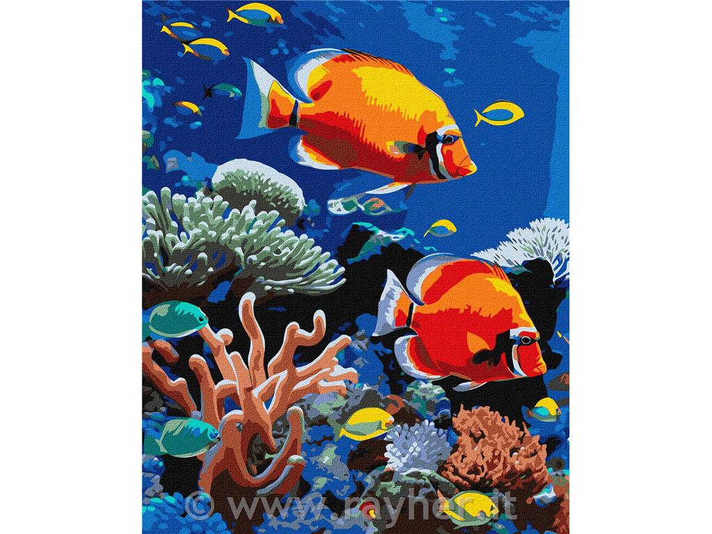 Dipingere con i numeri, A bright reef, 40x50 cm