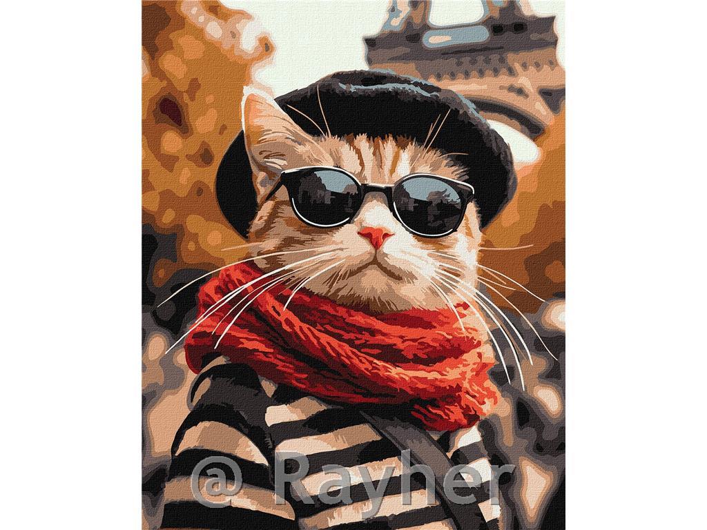 Dipingere con i numeri, A fluffy in Paris, 40x50 cm