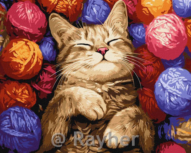 Dipingere con i numeri, The cat in the balls, 40x50 cm
