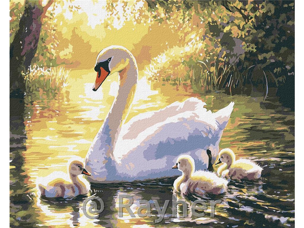Dipingere con i numeri, Evening swim, 40x50 cm