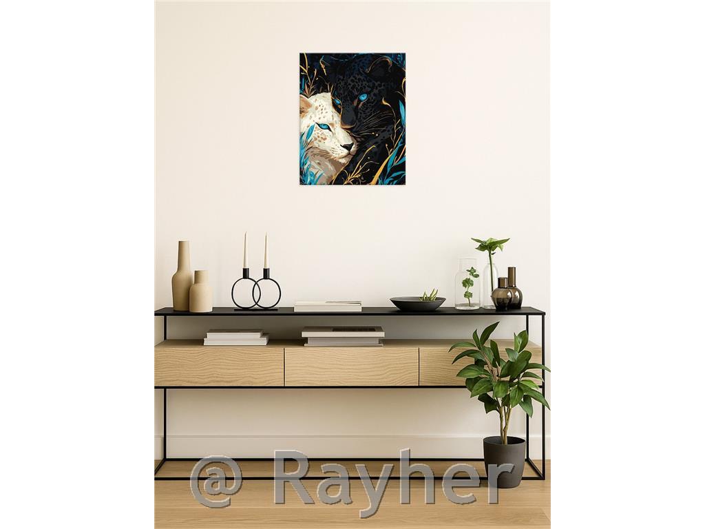Dipingere con i numeri, Yin Yang, con colori metallici, 40x50 cm