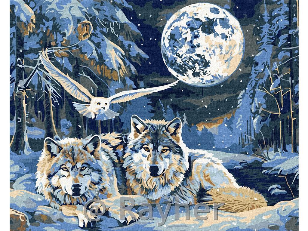 Dipingere con i numeri, Predators and Wisdom, con colori metallici, 40x50 cm