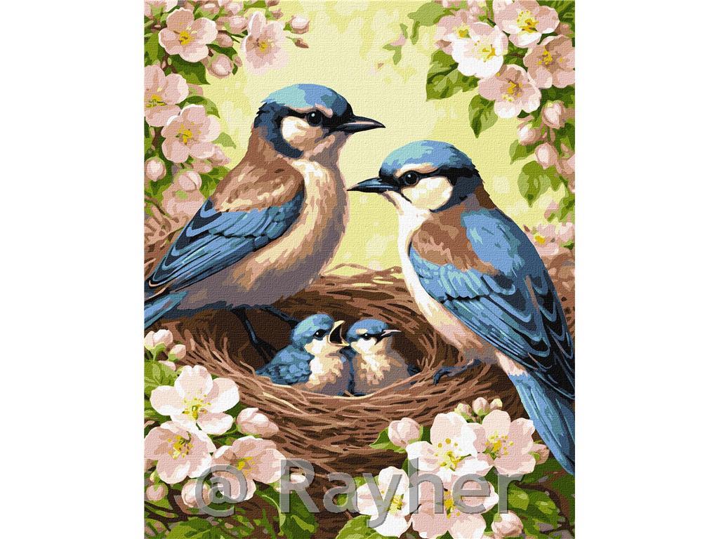 Painting by Numbers, Tit Family in Blossom, 40x50 cm