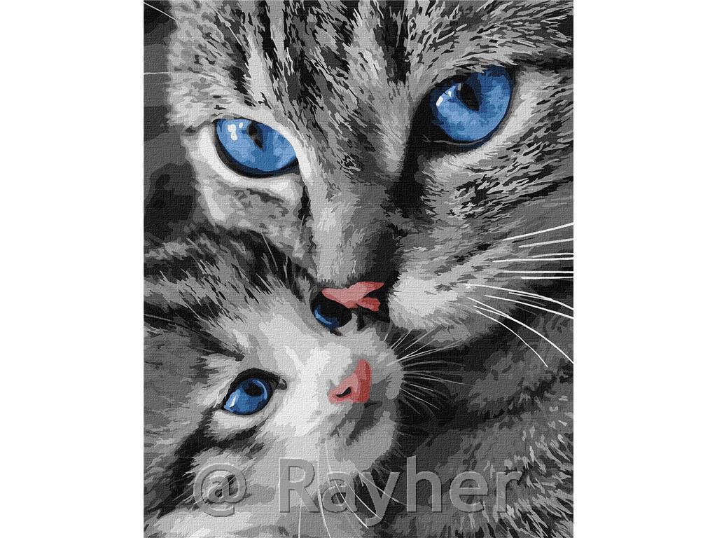 Dipingere con i numeri, Purring mum, 40x50 cm