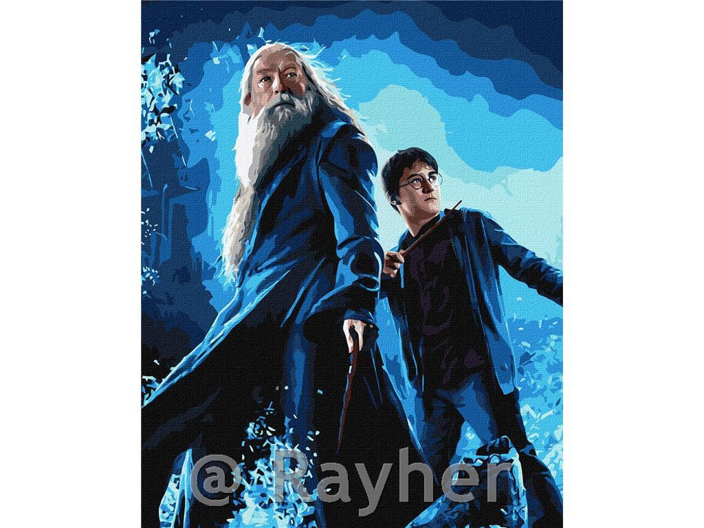 Dipingere con i numeri, Harry Potter: Harry and Dumbledore, con colori metallici, 40x50 cm