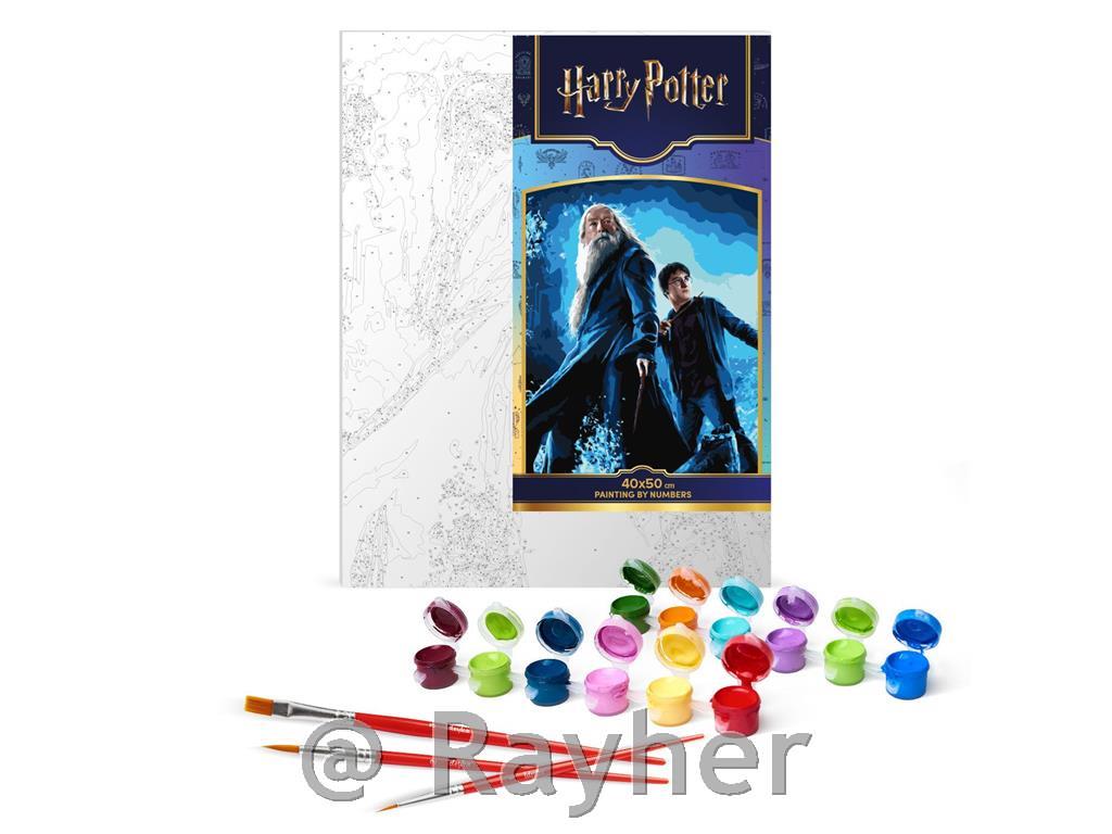 Dipingere con i numeri, Harry Potter: Harry and Dumbledore, con colori metallici, 40x50 cm
