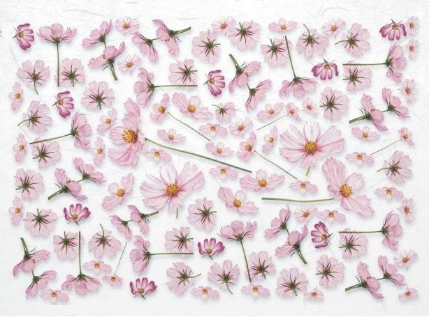 DECOUPAGE PAPIR RIŽEV A4,CVET NEŽNO LILA