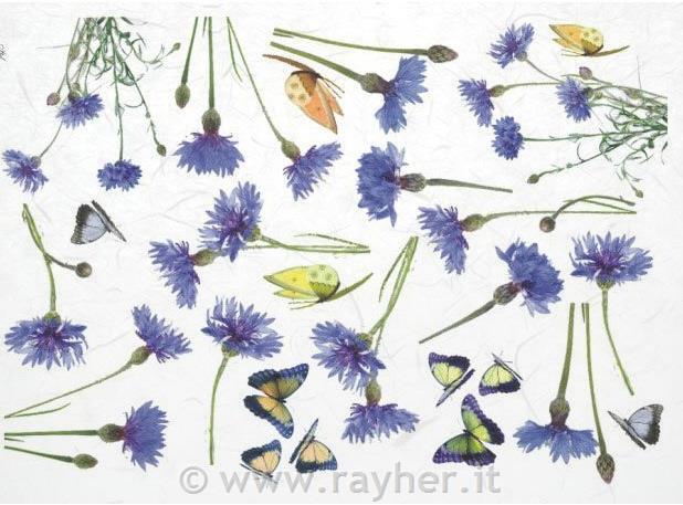 DECOUPAGE PAPIR RIŽEV A4,PLAVICE&METULJI