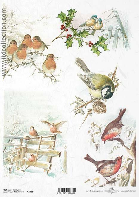 CARTA DI RISO PER DECOUPAGE A4, UCCELLIN