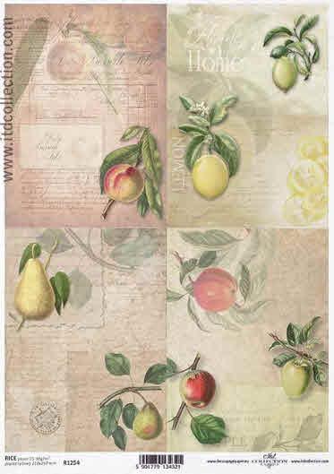 DECOUPAGE PAPIR RIŽEV A4, VINTAGE SADJE