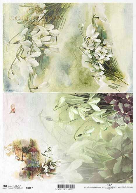 CARTA DI RISO PER DECOUPAGE A4, BUCANEVE