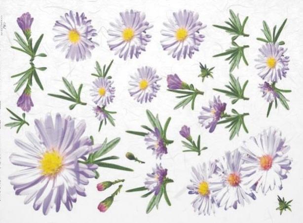 DECOUPAGE PAPIR RIŽEV A4, VIJOLIČNI CVET