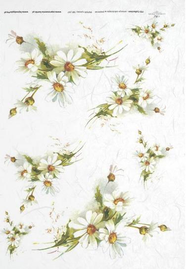 DECOUPAGE PAPIR RIŽEV A4,MARJETICE V ŠOP