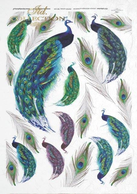 Decoupage papir, rižev A4, Pavje perje