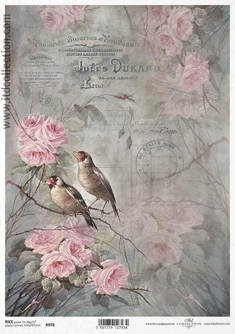 CARTA DI RISO PER DECOUPAGE A4, UCCELLIN