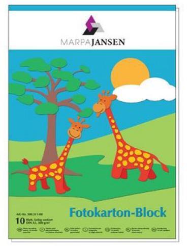 Cartoncino A4 300g 10 fogli