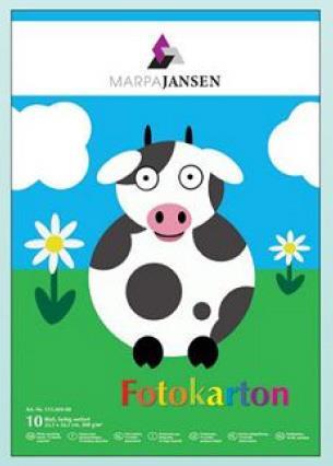 Ust.mapa Fotokarton 300g 22,5x32,5 cm, 10 listov