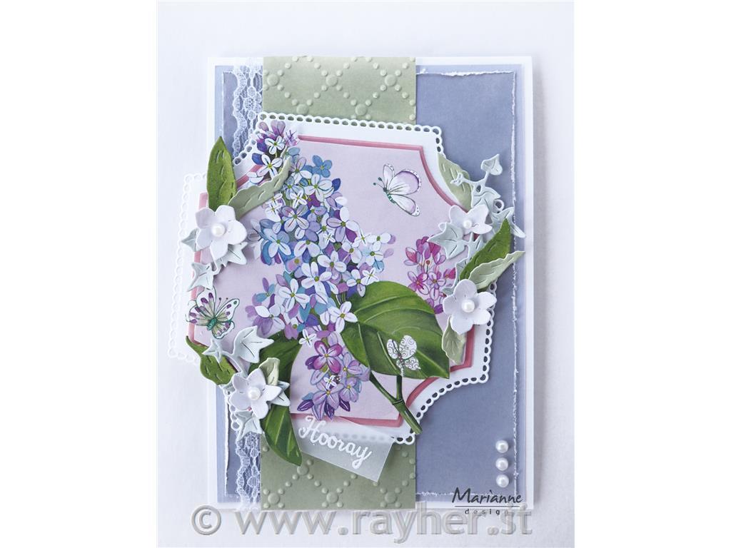 Cut die Basic Square