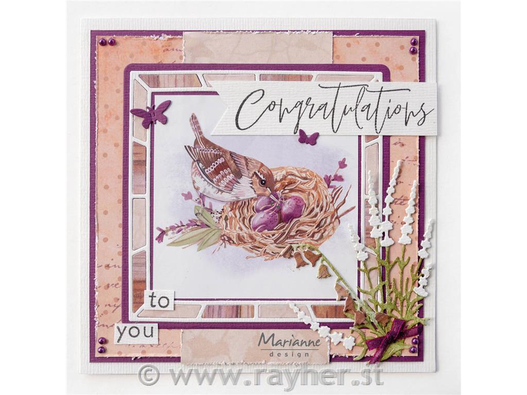 IMMAGINI DECOUPAGE, butterfly dreams