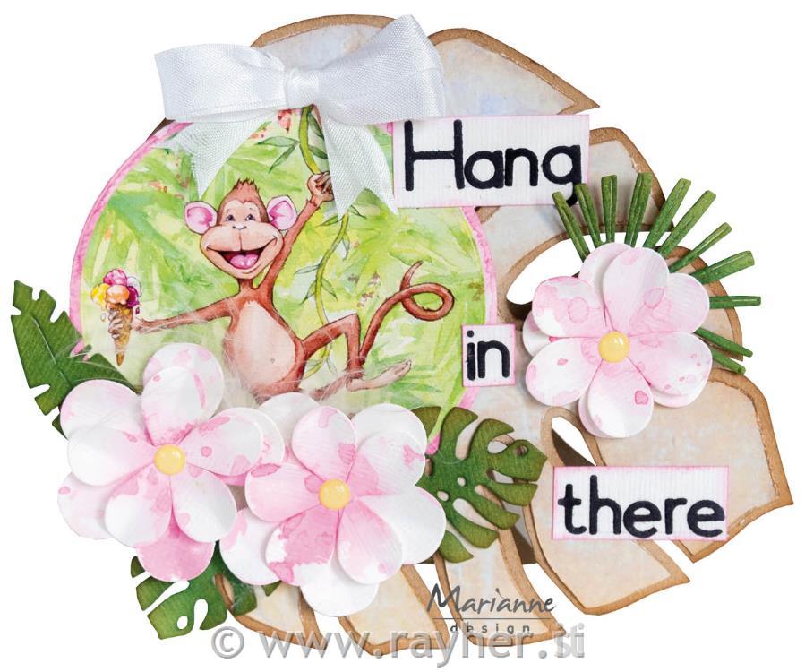 LIST S SLIČICAMI, OPICE