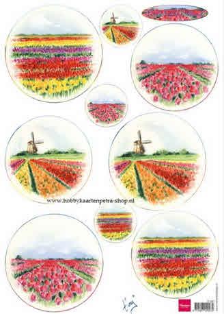 DECOUPAGE IMMAGINI, TULIPANI SUI CAMPI 1