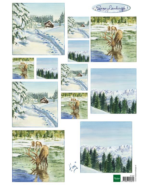 LIST S SLIČICAMI, ZIMSKA POKRAJINA