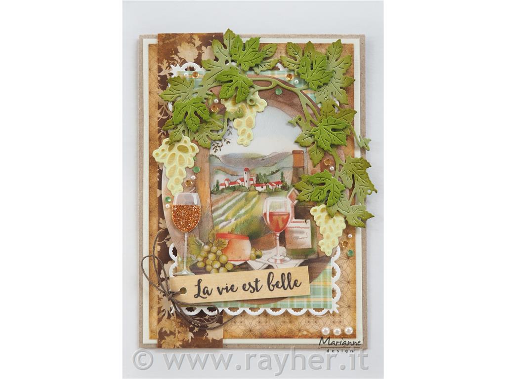 FUSTELLA MD CREATABLE, VITI DA VINO