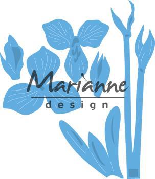 FUSTELLA MD CREATABLE, AMARYLLIS