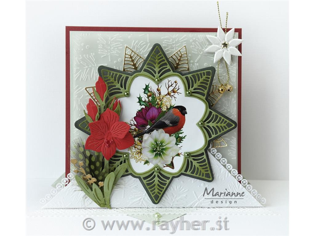 FUSTELLA MD CREATABLE, AMARYLLIS