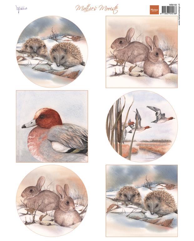 LIST S SLIČICAMI, ŽIVALI POZIMI II