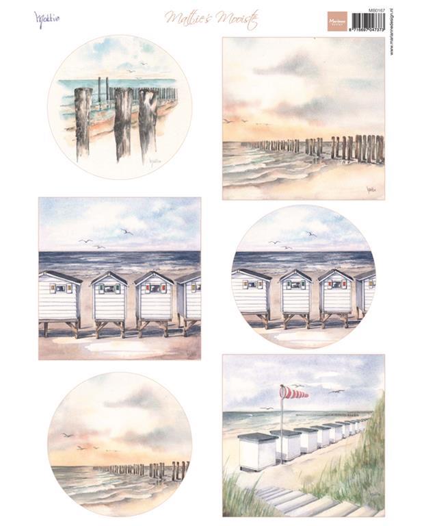 LIST S SLIČICAMI, OBALA