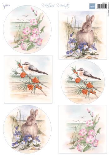 LIST S SLIČICAMI, NA SIPINAH