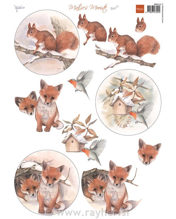 Decoupage paper: Squirrel