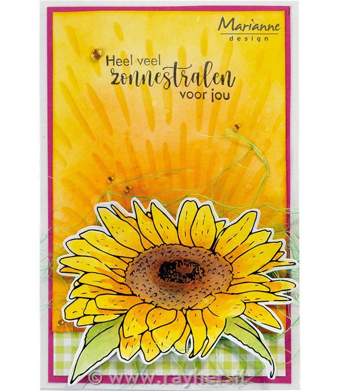 Fustelle & timbri: Girasole