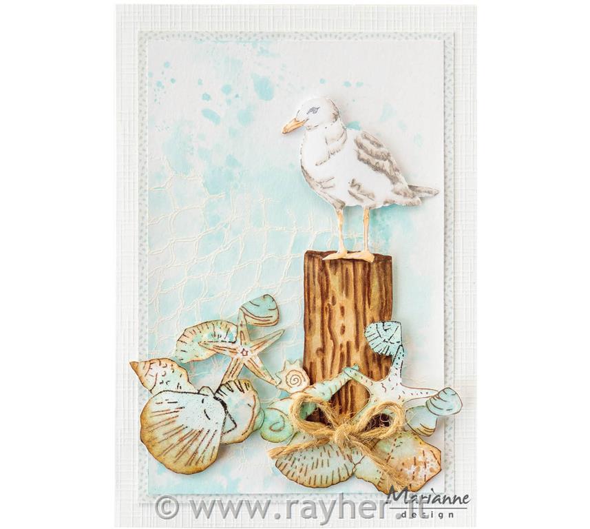 Stamp & die set: Sea shells