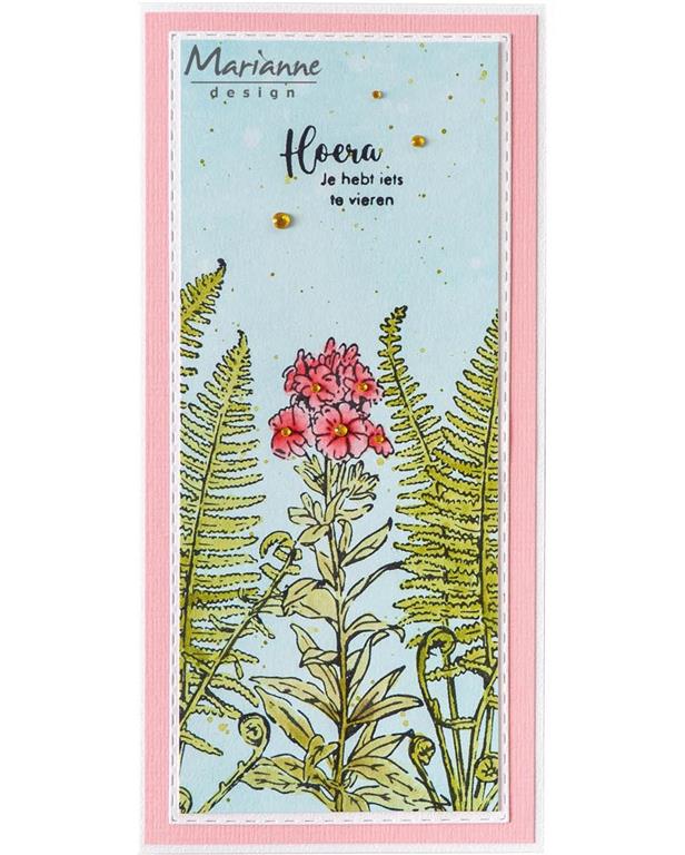 Fustelle & timbri: Phlox