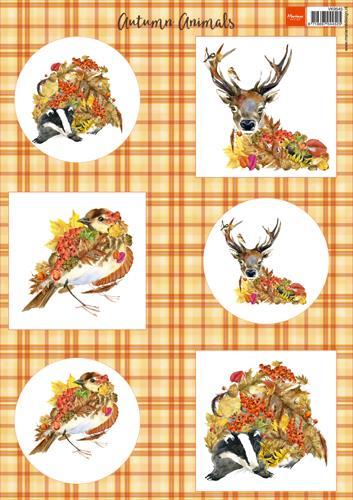 IMMAGINI DECOUPAGE, ANIMALI IN AUTUNNO 1