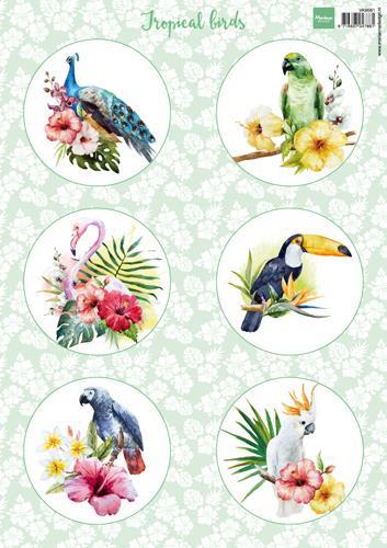 DECOUPAGE- TROPICAL BIRDS