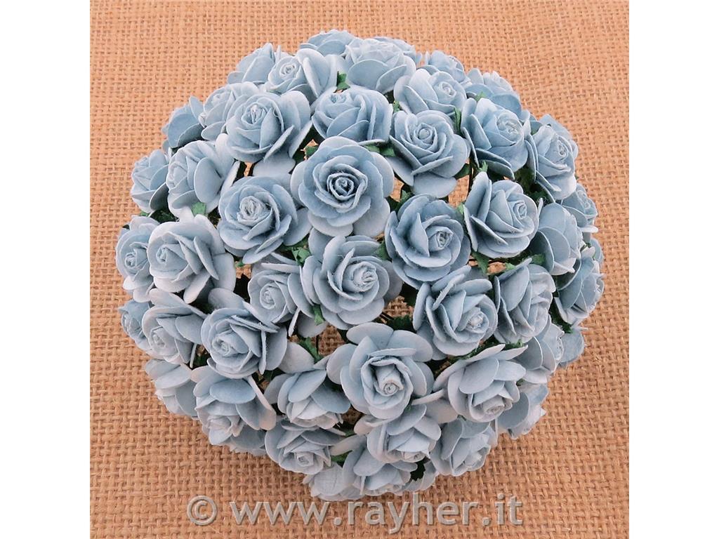 ROSE APERTE, SET 10, 15MMAZZURRO