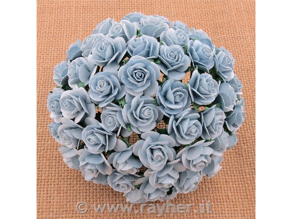 ROSE APERTE, SET 10, 20MMAZZURRO