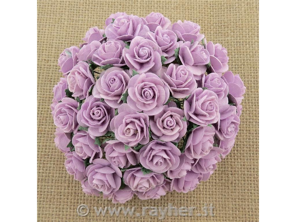 ROSE APERTE, SET 10, 10MMLILLA