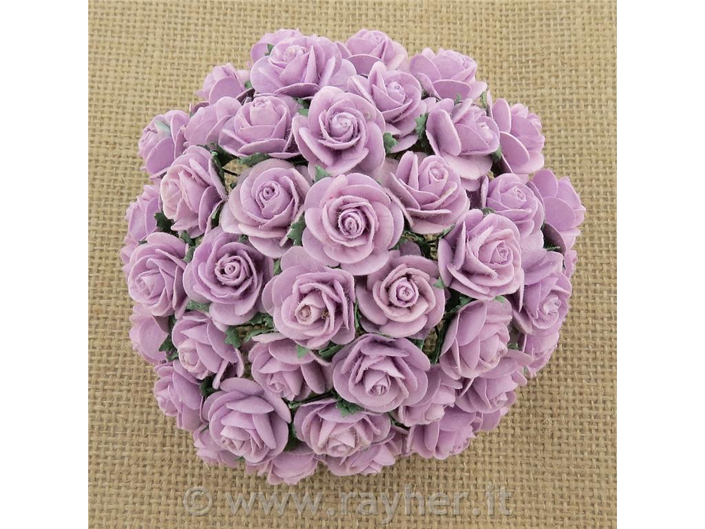 ROSE APERTE, SET 10, 20MMLILLA