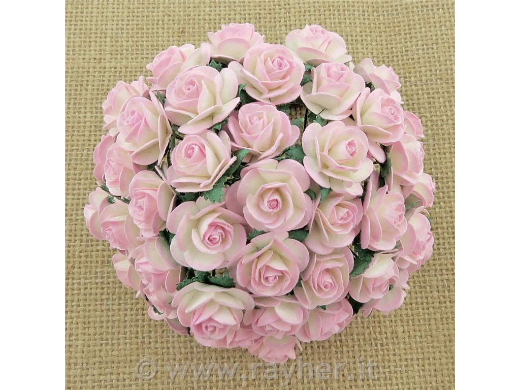 VRTNICE ODPRTE,BELO ROZA, SET 10, 10MM