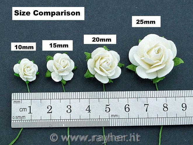 ROSE APERTE, SET 10, 15MMBIANCO-ROSA