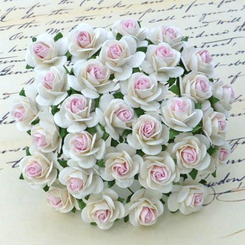 ROSE APERTE, SET 10, 15MMBIANCO-ROSA