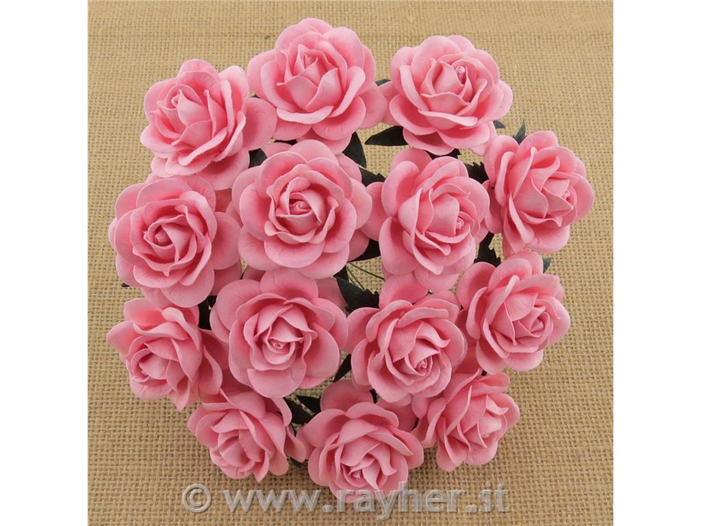 ROSE APERTE, TRELLIS, SET 5ROSA