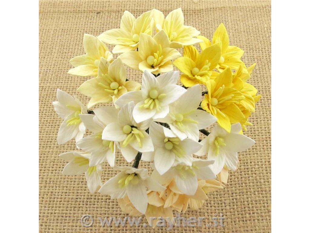 Lilije, rumene-bele, set 50, 30mm