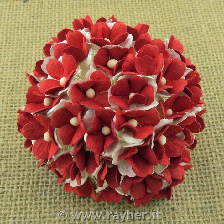FIORI PICCOLI, SET 20,15MMROSSO/BIANCO, FORMA DI CUORE