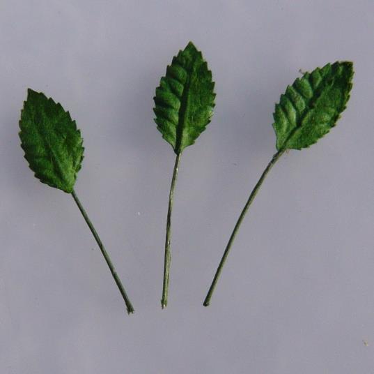 Green Leafs, set 10